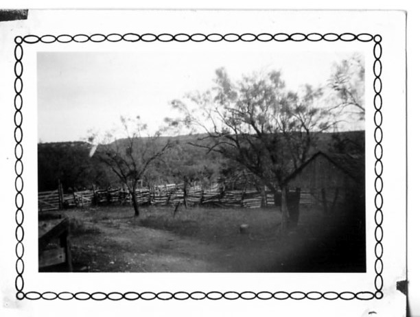 Frank016 copy